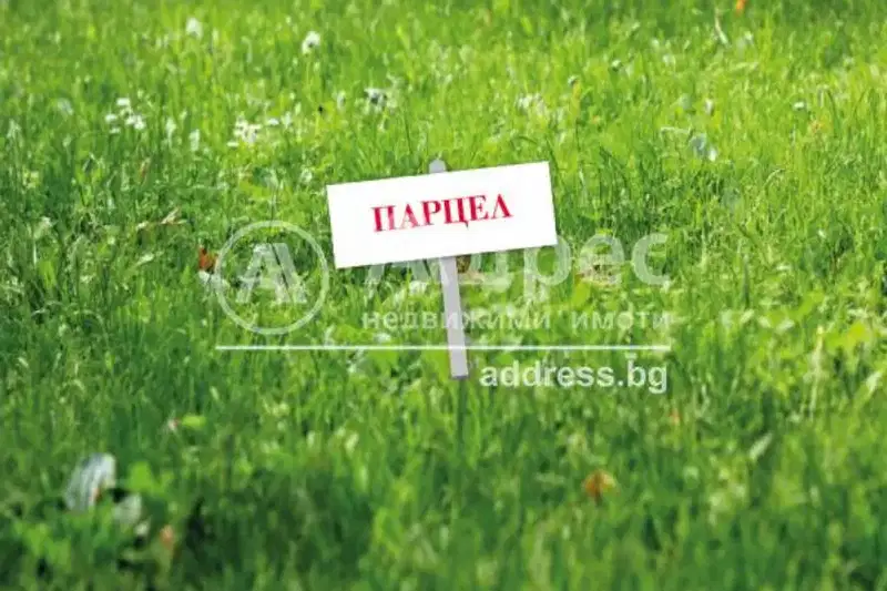 Парцел в София, Требич