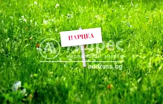 Парцел в София, Требич