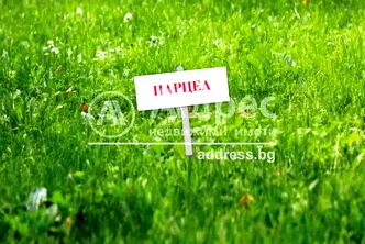 Парцел в София, Требич