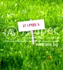 Парцел в София, Требич
