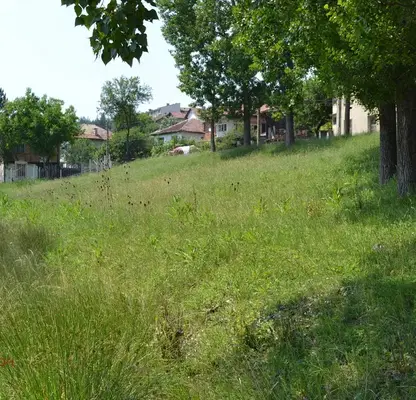 Photo 4 — Plot in Gabrovo, Velchevci
