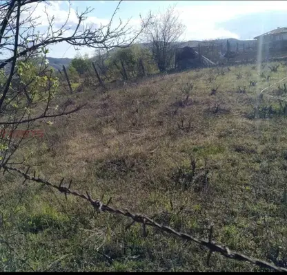 Photo 4 — Plot in Kyrdjali, Veselchane