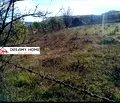 Снимка 5 — Парцел в Кърджали, Веселчане