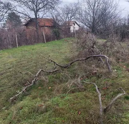 Photo 4 — Plot in Kyrdjali, Veselchane