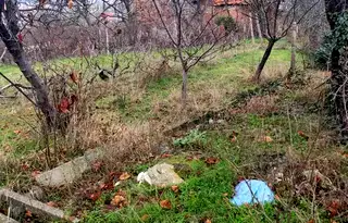 Парцел в Кърджали, Веселчане