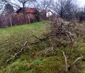 Снимка 5 — Парцел в Кърджали, Веселчане