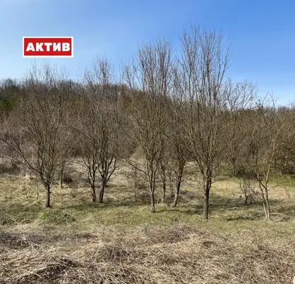 Снимка 2 — Парцел в Търговище, Вилна зона