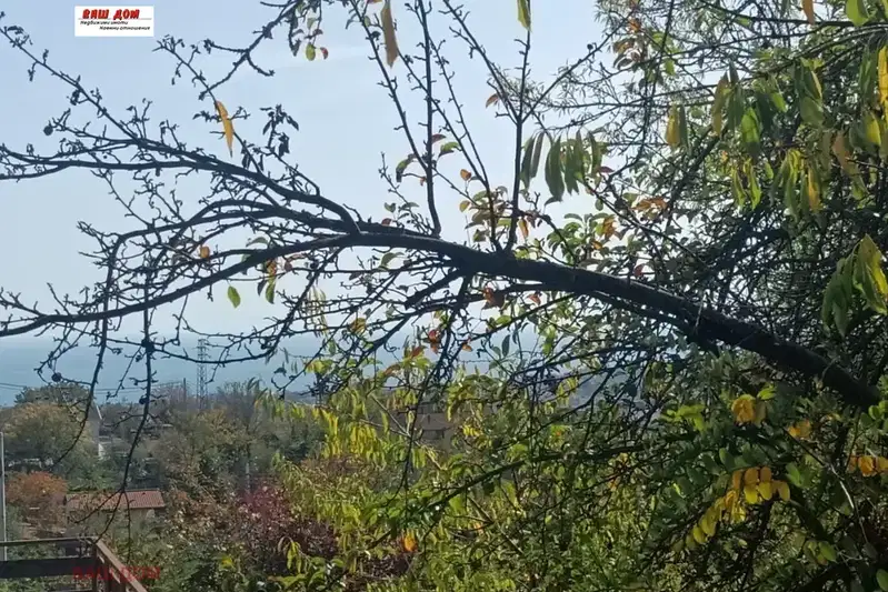 Парцел във Варна, Виница