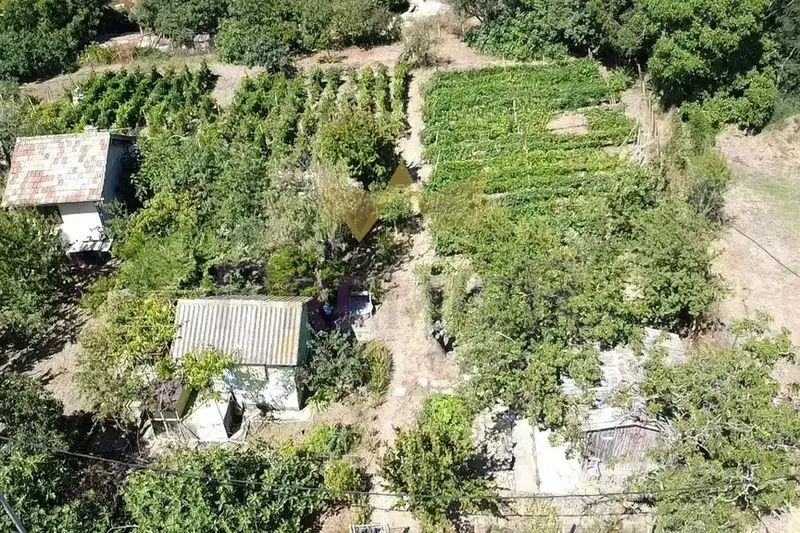 Парцел във Варна, Виница