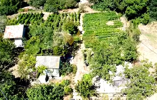 Парцел във Варна, Виница
