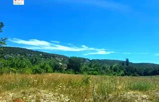 Парцел във Варна, Виница