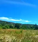 Парцел във Варна, Виница