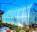 Снимка 5 — Парцел във Варна, Виница