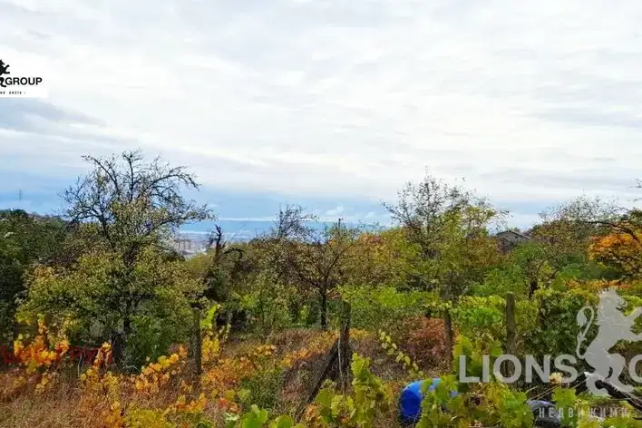 Plot in Varna, Vladislav Varnenchik 1