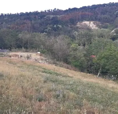 Photo 2 — Plot in Varna, Vladislav Varnenchik 2