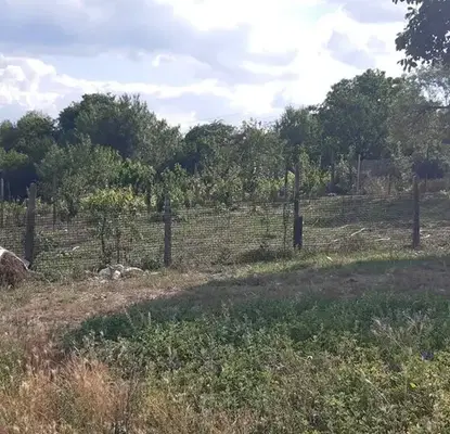 Photo 4 — Plot in Varna, Vladislav Varnenchik 2