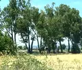 Снимка 5 — Парцел в София, Враждебна