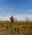 Парцел в София, Връбница 2