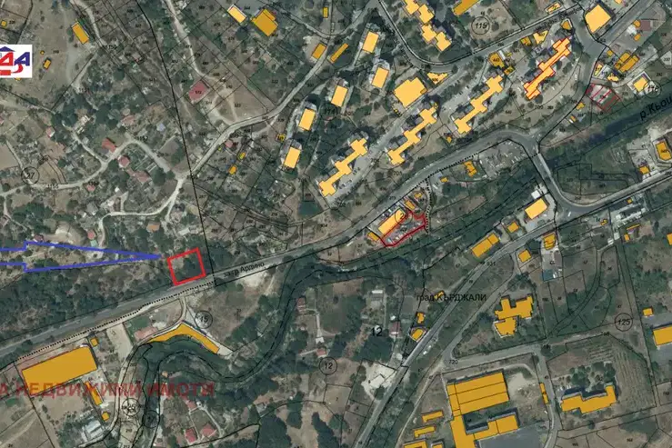Plot in Kyrdjali, Vyzrojdenci