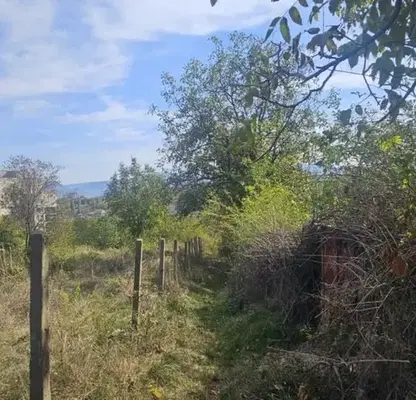 Photo 2 — Plot in Kyrdjali, Vyzrojdenci