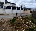 Снимка 3 — Парцел в Кърджали, Възрожденци
