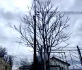 Снимка 4 — Парцел в Кърджали, Възрожденци