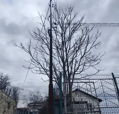 Снимка 4 — Парцел в Кърджали, Възрожденци