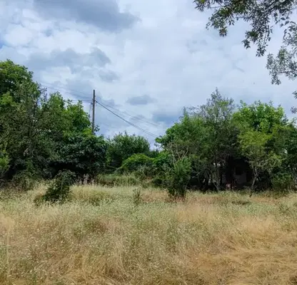 Photo 3 — Plot in Kyrdjali, Vyzrojdenci
