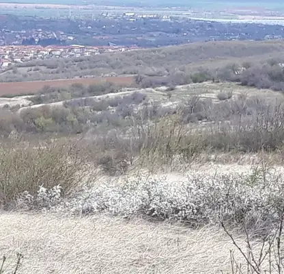 Снимка 2 — Парцел в Ловеч, в.з. Бабаковец