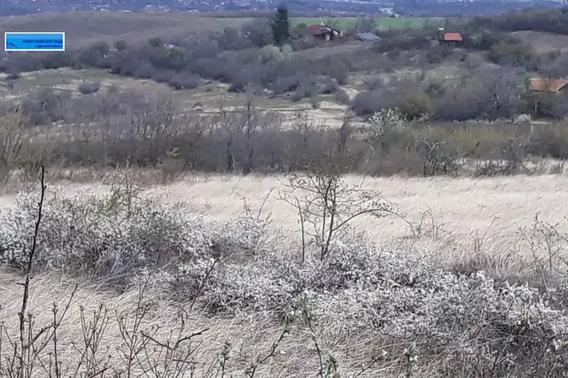 Plot in Lovech, Babakovec