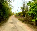 Снимка 3 — Парцел в Русе, в.з. Кръста