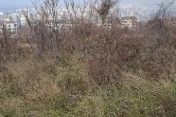 Plot in Ruse, Leventa