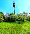 Парцел в Русе, в.з. Левента