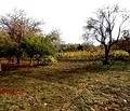 Снимка 4 — Парцел в Русе, в.з. Левента