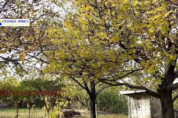 Plot in Ruse, Leventa