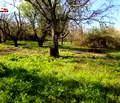 Снимка 2 — Парцел в Русе, в.з. Левента