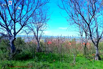 Парцел в Русе, в.з. Левента