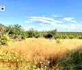 Снимка 4 — Парцел в Русе, в.з. Левента