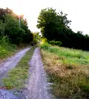 Парцел в Русе, в.з. Липака