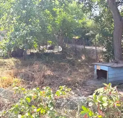 Photo 3 — Plot in Ruse, Rusofili