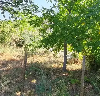 Photo 5 — Plot in Ruse, Rusofili