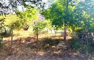 Парцел в Русе, в.з. Русофили
