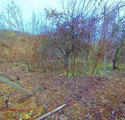 Photo 2 — Plot in Ruse, Rusofili