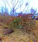 Парцел в Русе, в.з. Русофили