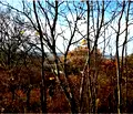 Снимка 2 — Парцел в Ловеч, в.з. Синан тепе
