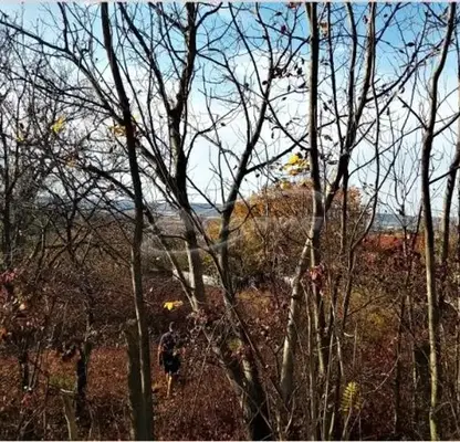 Снимка 2 — Парцел в Ловеч, в.з. Синан тепе