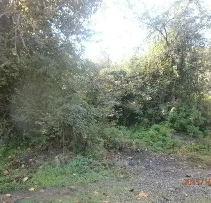 Photo 2 — Plot in Lovech, Sinan Tepe
