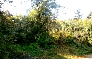 Парцел в Ловеч, в.з. Синан тепе