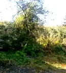 Парцел в Ловеч, в.з. Синан тепе