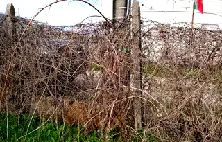 Парцел в Русе, в.з. Средна кула